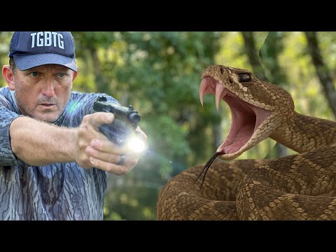 Snakes Were Everywhere!