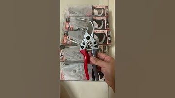 Kéo cắt cành cộng lực lưới cắt SK5 của Nhật Bản.