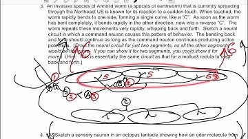 302 16 22 Q2 3 Homework and Feedback