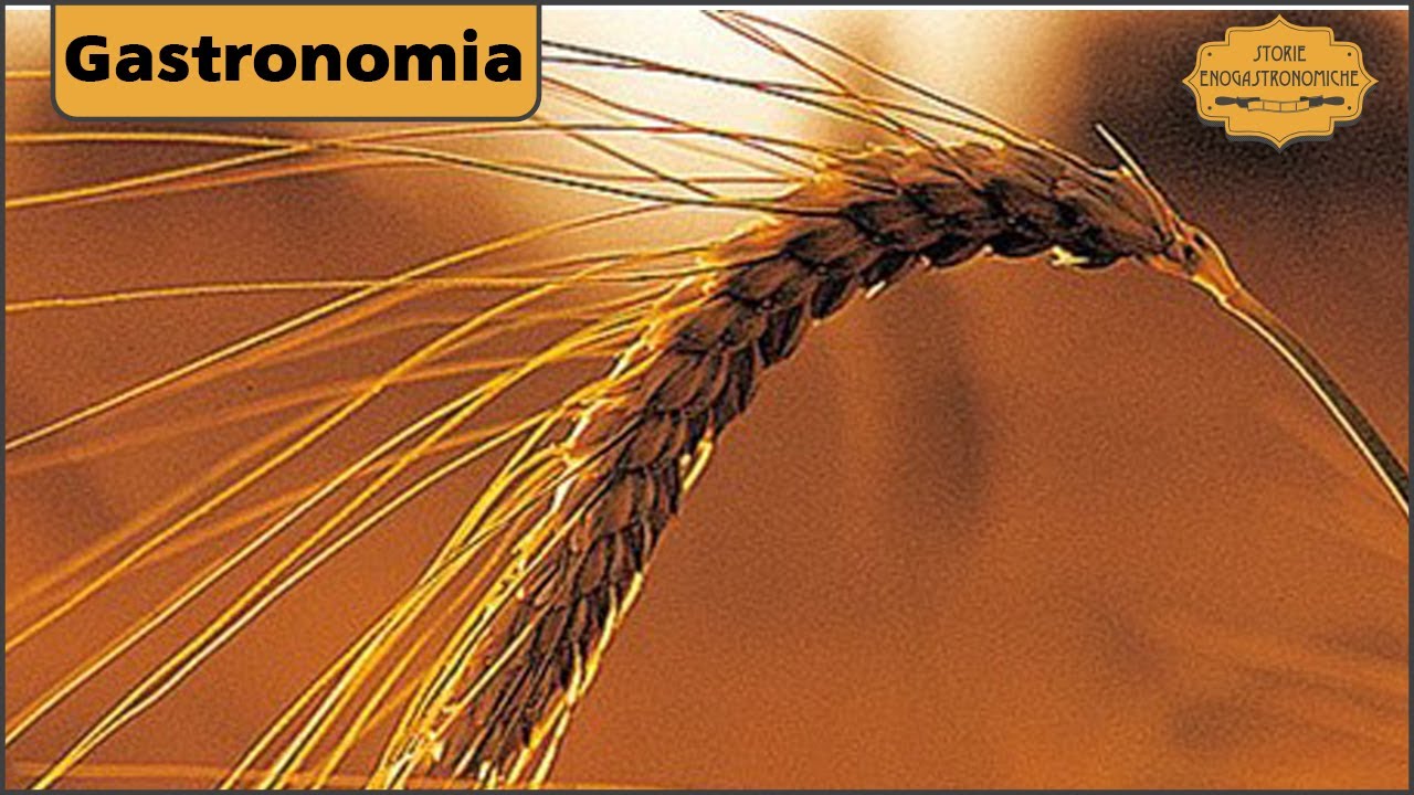 Il Farro della Garfagnana, prodotto toscano tipico YouTube