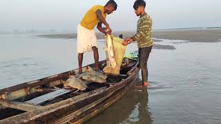 #fishhunting2 #amazingfishing #