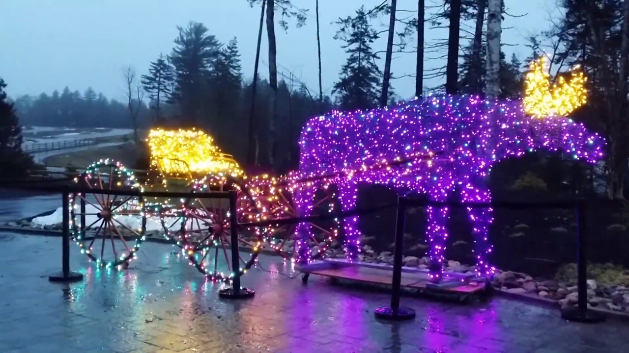 Gardens Aglow At Coastal Maine Botanical Gardens Youtube