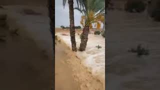 تدفق مياه الأمطار بمحيط واحة سيوة 🌊🌊🌊