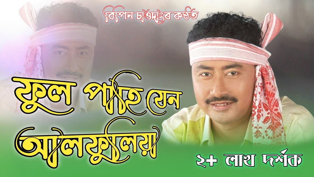 Ful Pahi Jen Alfulia By Bipin Chawdang  New Assamese Song