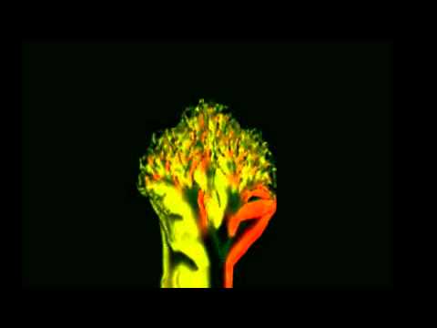 Summertime - Someone like you, the remix