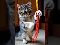 "AI Cat Dance 🐱💃 | Funny Cartoon Cat Dancing in 4K" #ai#shorts #art #cat