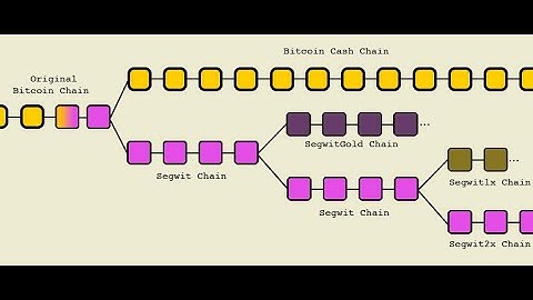 Bitcoin Explained (Forks, Hard, Soft, and Accidental)