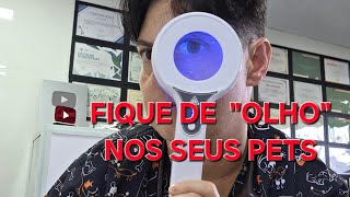 Como Cuidar Dos Olhos Dos Animais
