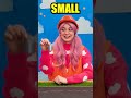 Sizes in Action! 🚧 Fun with Big and Small