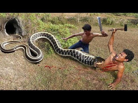 Easy Snake Trap - Build Underground Python Trap Make From PVC | New Technique Of Snake Trap