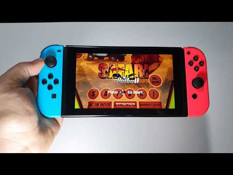 Safari Pinball Nintendo Switch handheld gameplay