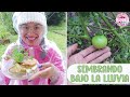 SEMBRANDO CILANTRO Y TOMATE + TOUR POR EL HUERTO CON LLUVIA│Candy Bu