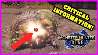 CRITICAL INFORMATION - Monster Hunter Rise Beginners Guide