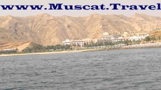 Muscat Dolphin watching Trip