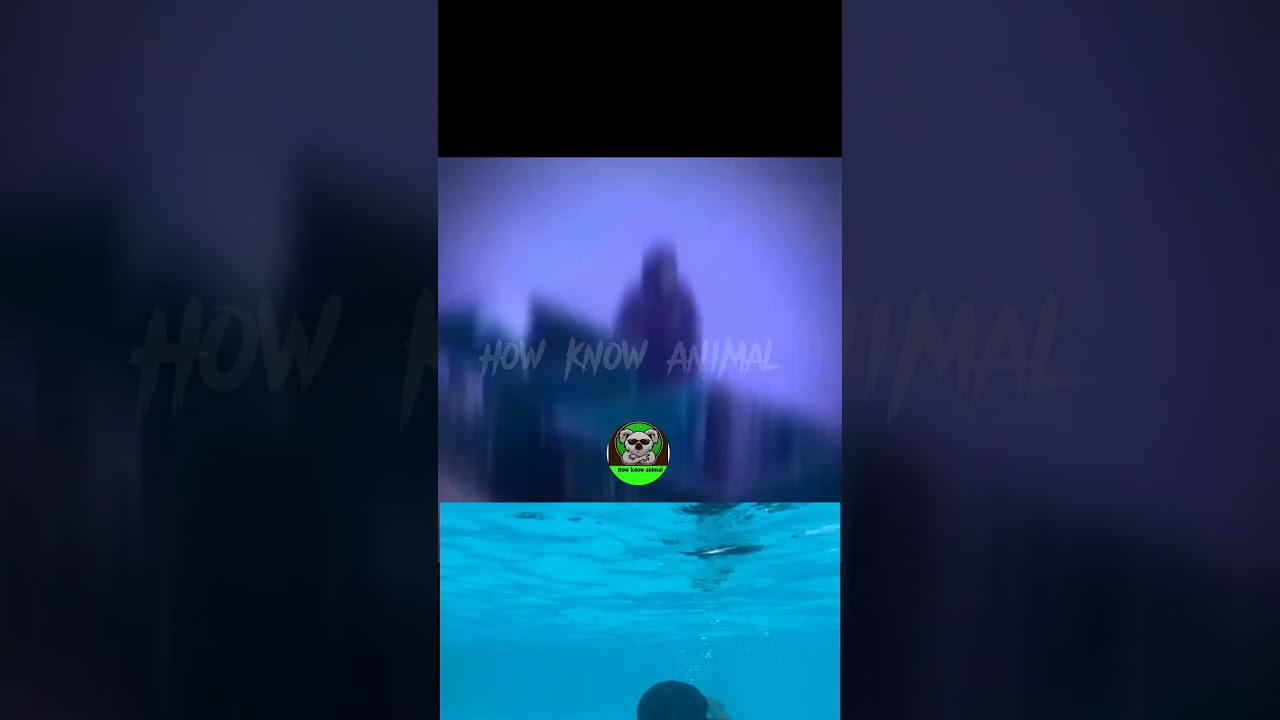 funny animal  reaction | Animal reaction funny videos 2023 | 