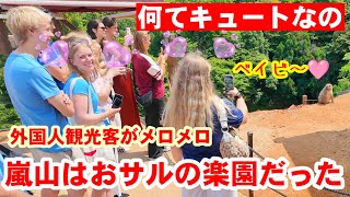 6/13(土)なんてキュートなの！赤ちゃんおサルに外国人観光客がメロメロ、嵐山のあのパークに行ってみた！