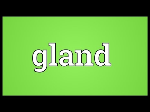 Gland Meaning
