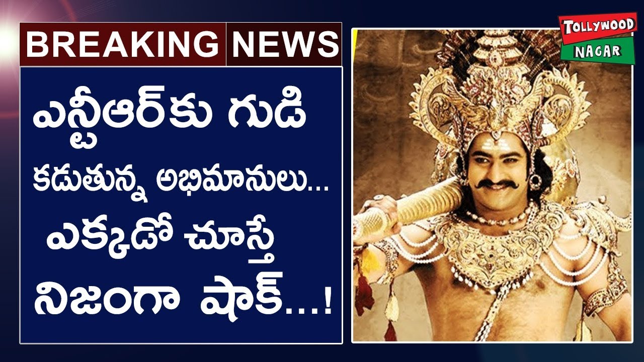 Jr NTR Fans Built Temple For Jr NTR | Jr NTR Craze | Karnataka NTR Fans Building Temple For Jr NTR