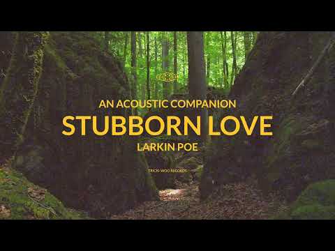 Larkin Poe - Stubborn Love (Acoustic) [Official Visualizer]