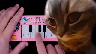 Chipi chipi chapa chapa cat (how to play on a 1$ piano) by Five Fingers Enchantress 32,409 views 3 months ago 31 seconds