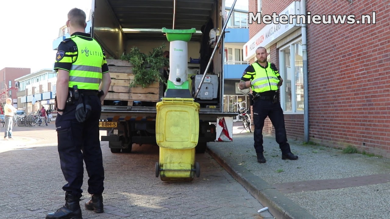 Hennep kwekerij in Assen