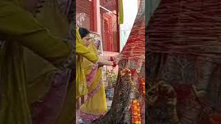 vat savitri #youtube #youtuber #youtubevideos #shortschallenge #shortschallenge #tre