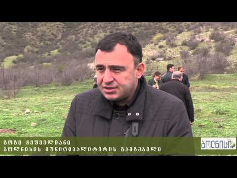 5000 ნერგი - გამწვანების მასშტაბური აქცია ბოლნისში