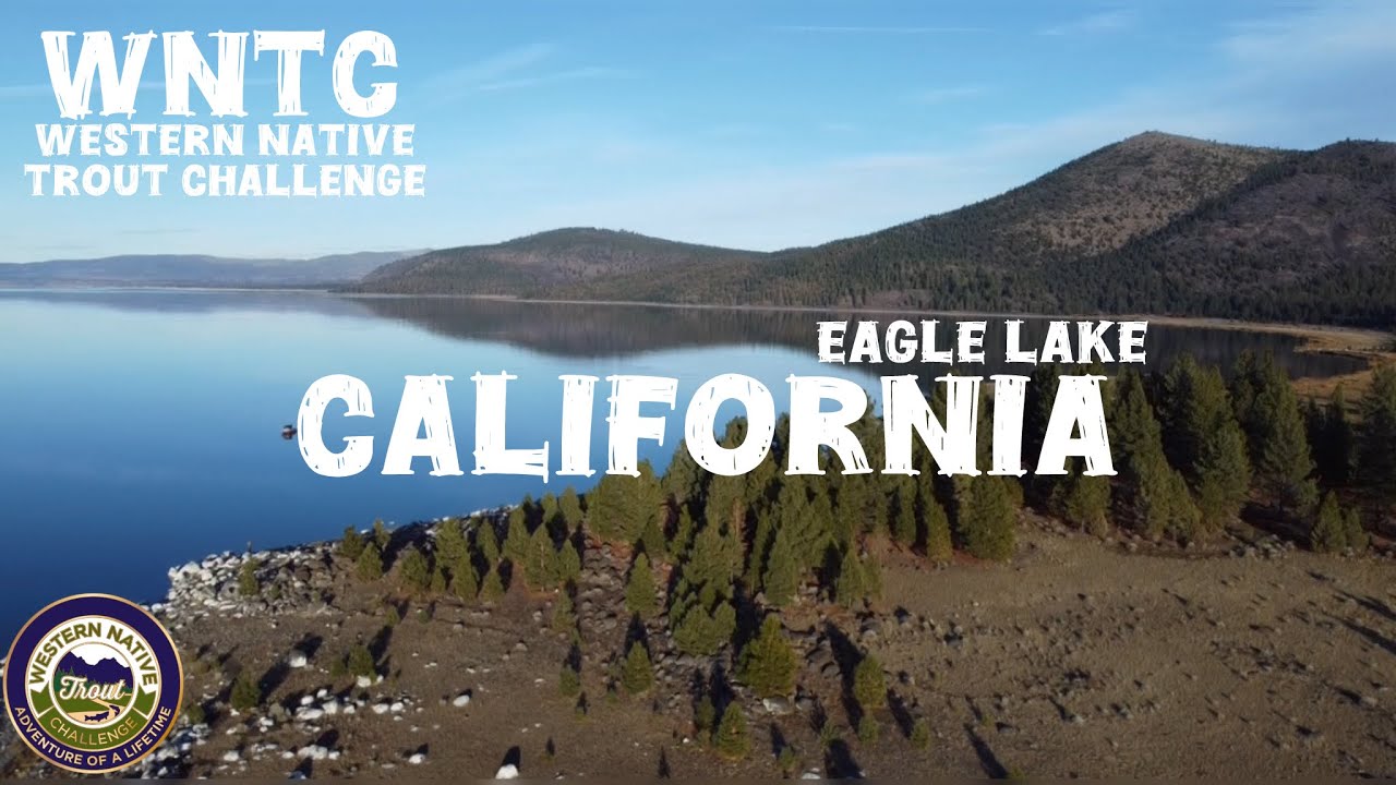 Западный национальный конкурс по ловле форели: радужная форель на озере Игл!