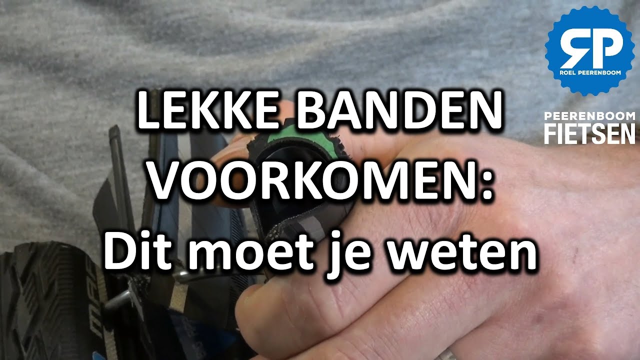 YouTube-filmpjes leveren Roel Peerenboom een jaarsalaris op