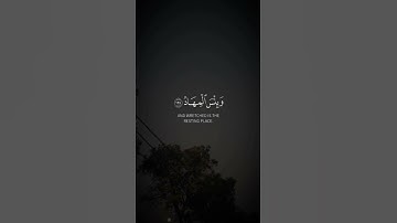 تلاوه من سورة آل عمران|بصوت الشيخ ياسر الدوسري🎧♥️#trending #quran #قران_كريم #راحة_نفسية #قرآن