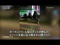 人型ロボットが野生のイノシシを追い払う　ポーランド