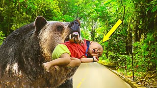Bear Carries Dying Child To The Road, What Happens next is UNBELIEVABLE