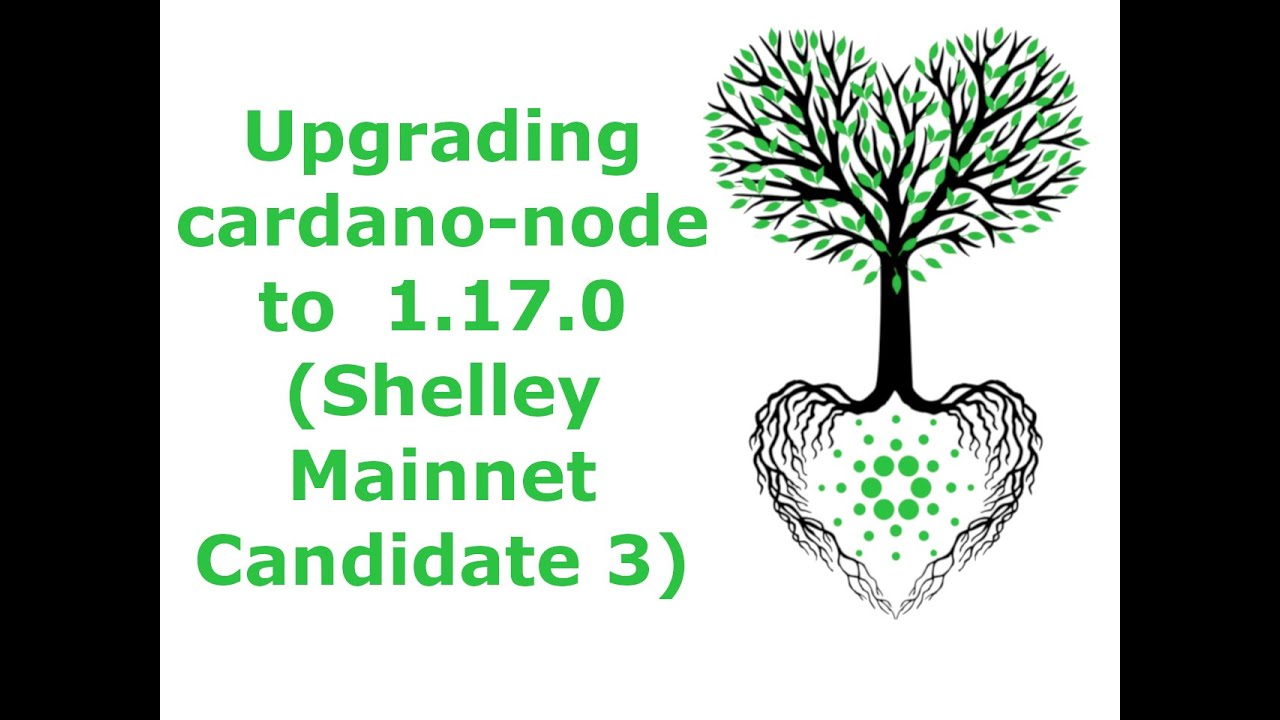 Upgrading cardano-node to 1.17.0 (Shelley Mainnet Candidate 3)