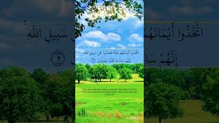 Al-Munafiqun المنافقون, Yousaf Nooh, #piece, #Quran, #sacredwords, #talawatquran, #QuranRecitation,