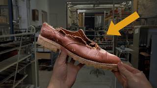 Mon Chien À Mangé Mes Chaussures À 275 Que Faire ?