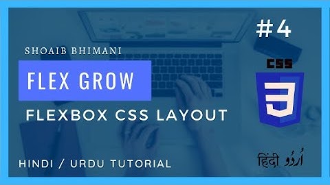 [#4] Flex Grow | Basic of Flexbox | Learn Flexbox CSS Layout in Hindi and Urdu