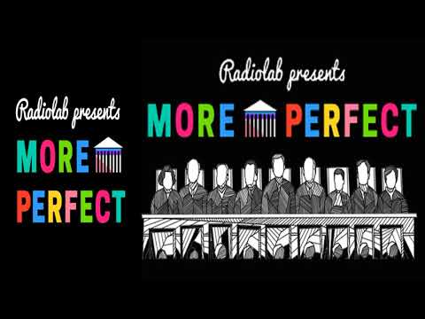 GOVERNMENT & ORGANIZATIONS - More Perfect- Ep.#2: The Political Thicket