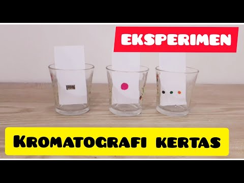 Video: Apakah tujuan eksperimen kromatografi kertas?