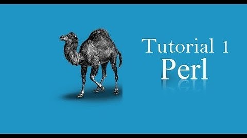 Perl Programming Language (Easy explanation) | Tutorial 1