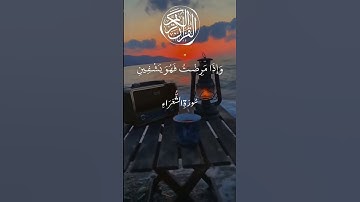 سورة الشعراء الآية 78 #قران_كريم قرآن كريم #لايك #الفيديوهات_المقترحة