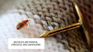 HOW TO GET RID OF BED BUGS UK ~ BED BUG CONTROL LONDON ~ CATCH-IT LTD