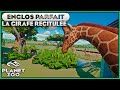 Les girafes rticules plaines africaines  les enclos parfaits  episode 23  planet zoo