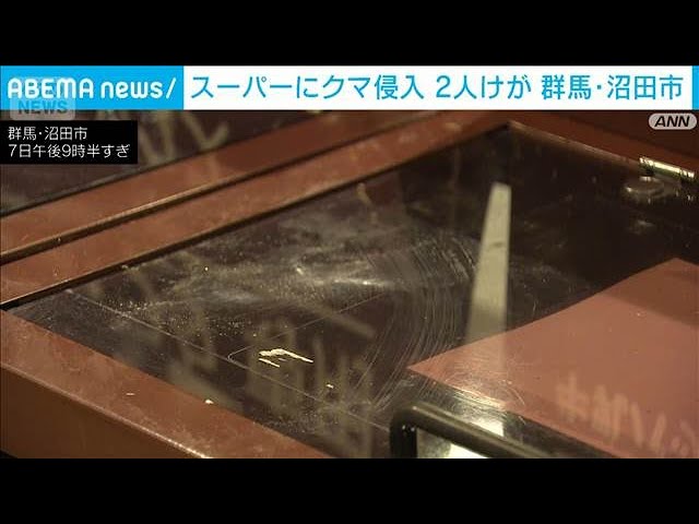 Bear Appears at Supermarket in Numata, Gunma; 70-Year-Old Male