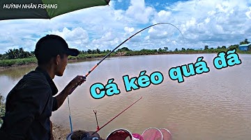 ✅Câu Đài Tự Nhiên | Câu ao hoang đầy cảm giác toàn hàng khủng | HUỲNH NHÂN FISHING
