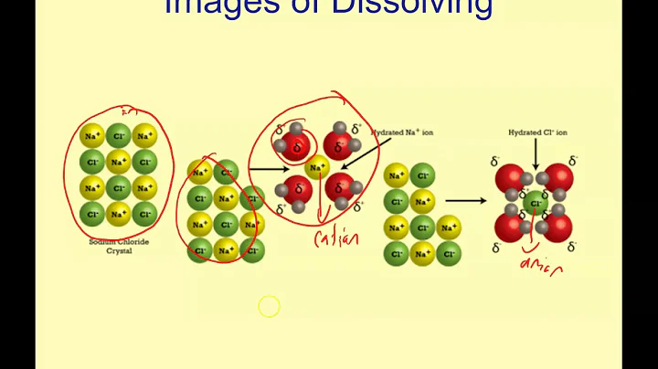 Polarity and Solubility