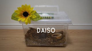 【ダイソー商品】夏DAISO商品だけでカブトムシ部屋作り✩消臭、防ダニ、