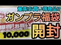 ガンプラ福袋開封!駿河屋の10000円ガンプラ福袋を開封しました!#ガンプラ #福袋 #ガンプラ福袋 #開封 #ガンダム#駿河屋