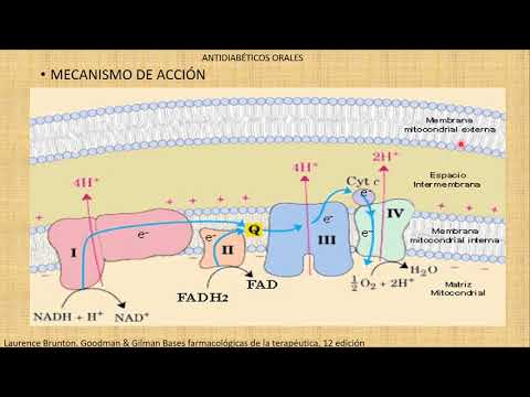 Vídeo: Metformina No Câncer Colorretal: Mecanismo Molecular, Aspectos Pré-clínicos E Clínicos