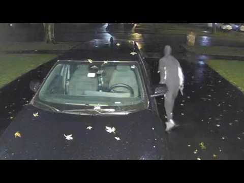 Mount Prospect police searching for suspects in attempted car burglaries