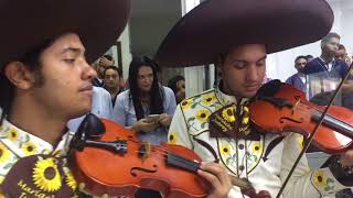 Video voorbeeld van "Prometo ( cover ) Mariachi Juarez Barranquilla"